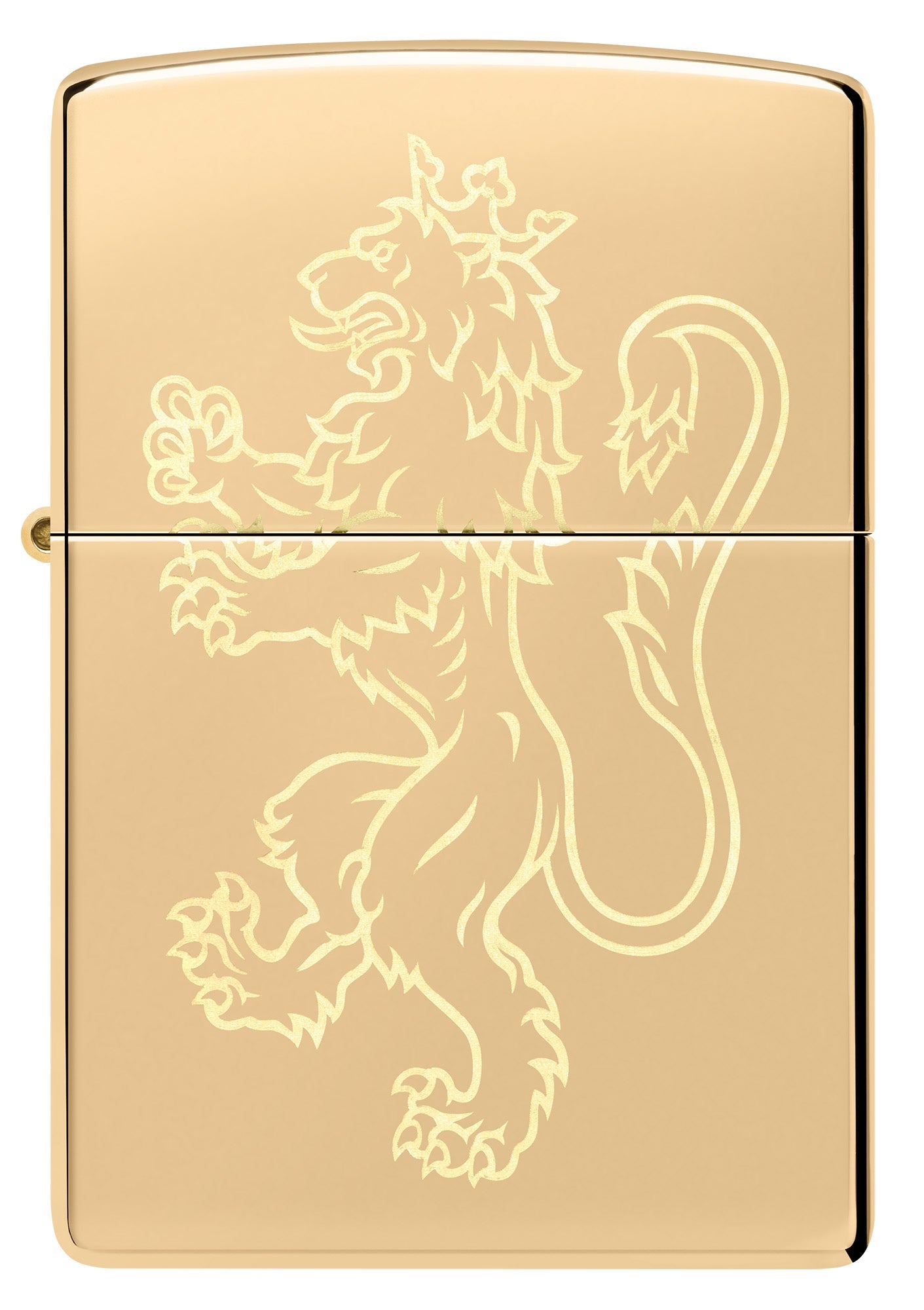 Ontwerp van een vechtende leeuw