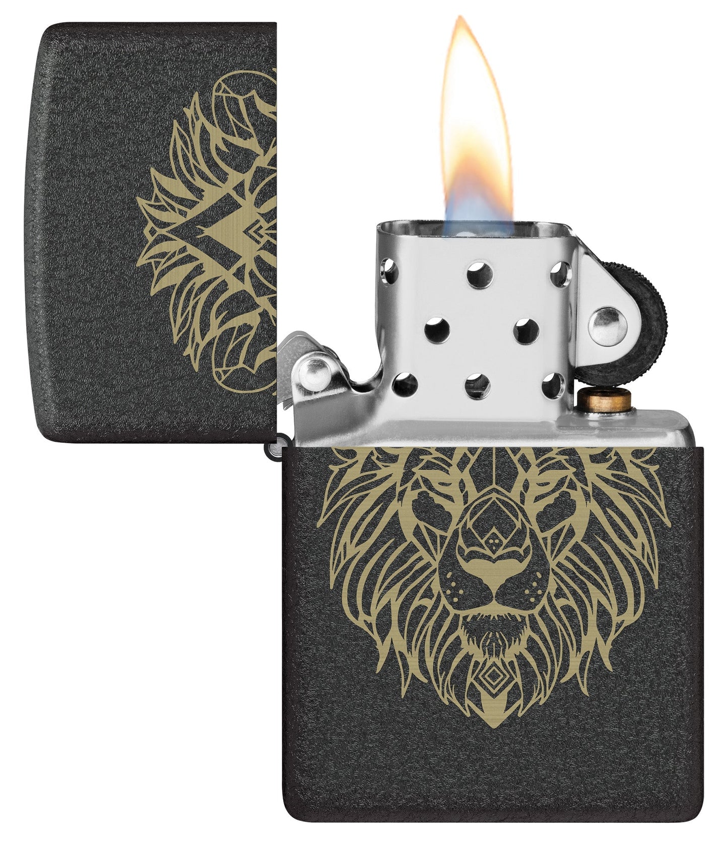 Geometrisch ontwerp van een leeuw