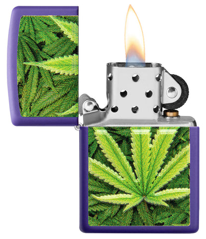 Zippo Feuerzeug Frontansicht lila matt geöffnet und angezündet mit Abbildung von Cannabis Pflanzen